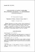 Miniatura